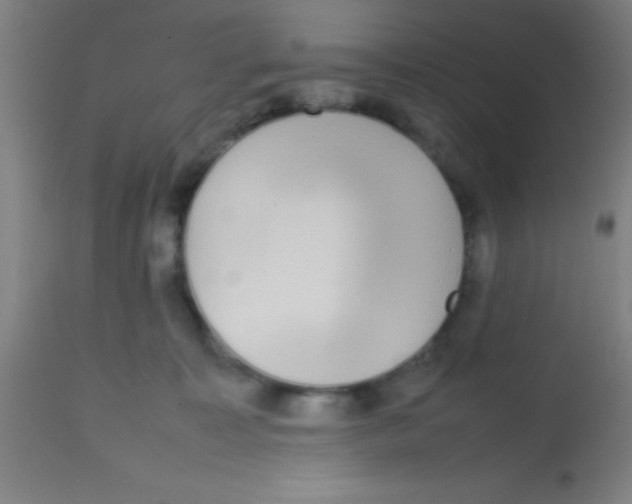 X0000113850323200910221425