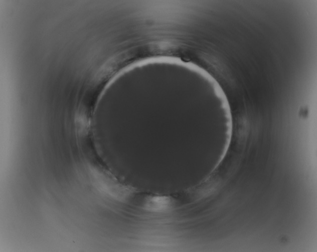 X0000113850324200910221425