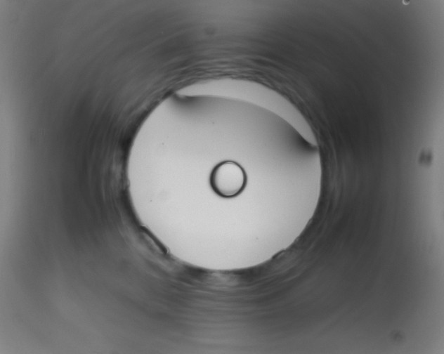 X0000113850328200910221424