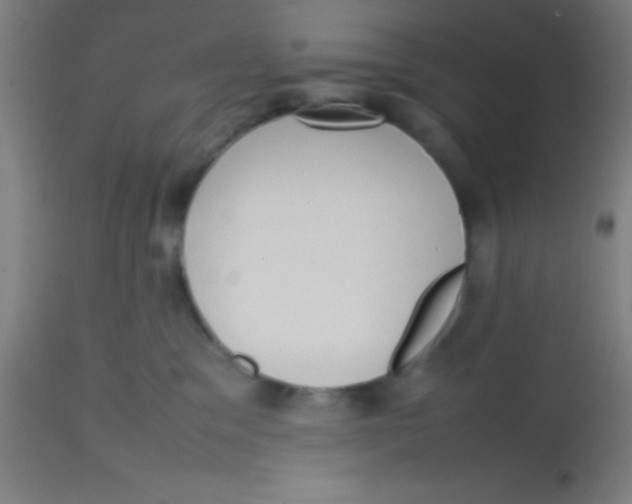 X0000113850329200910221424