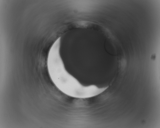 X0000113850331200910221424