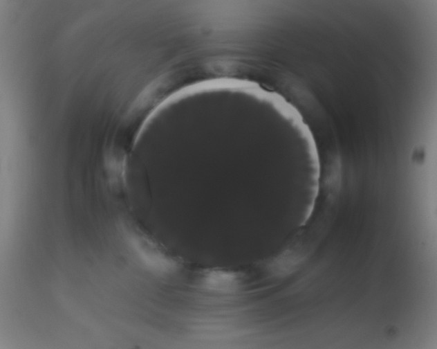 X0000113850332200910221424