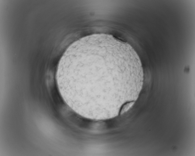 X0000113850333200910221424