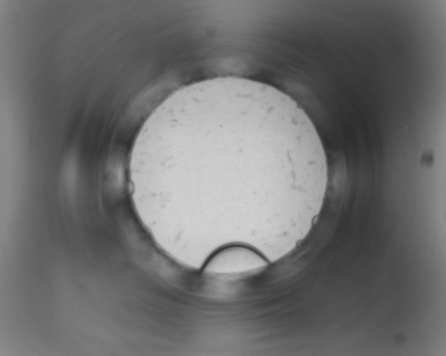 X0000113850334200910221424