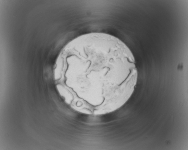 X0000113850335200910221424