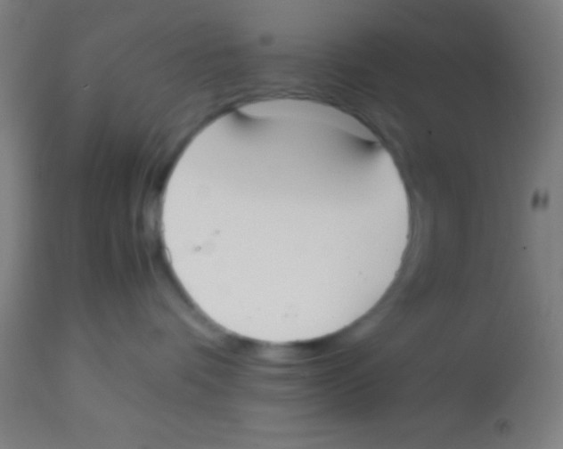 X0000113850336200910221424