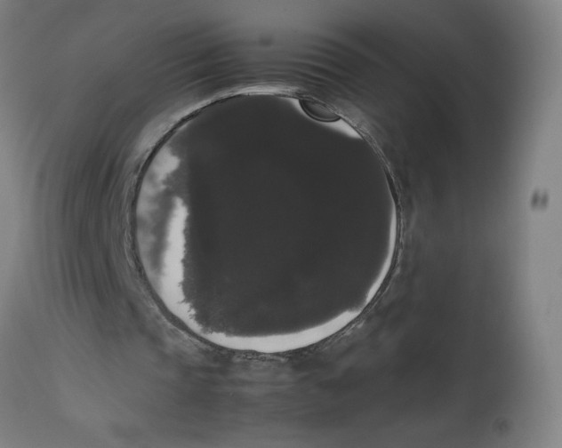 X0000113850337200910221424