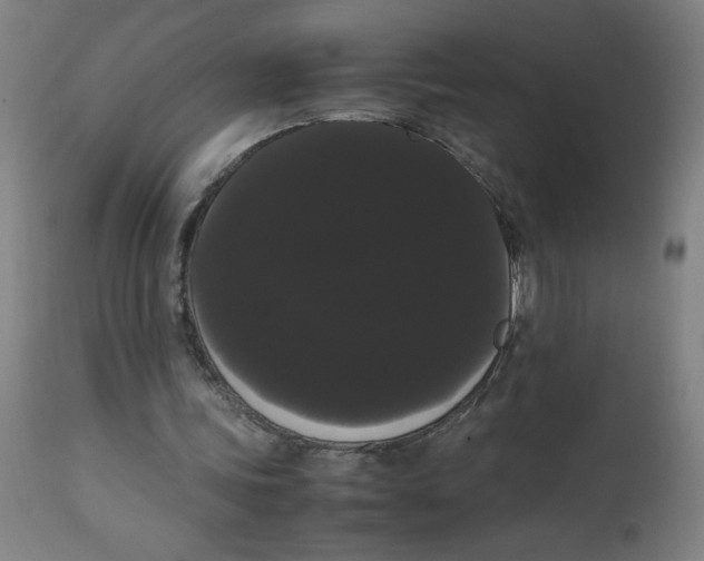 X0000113850339200910221424