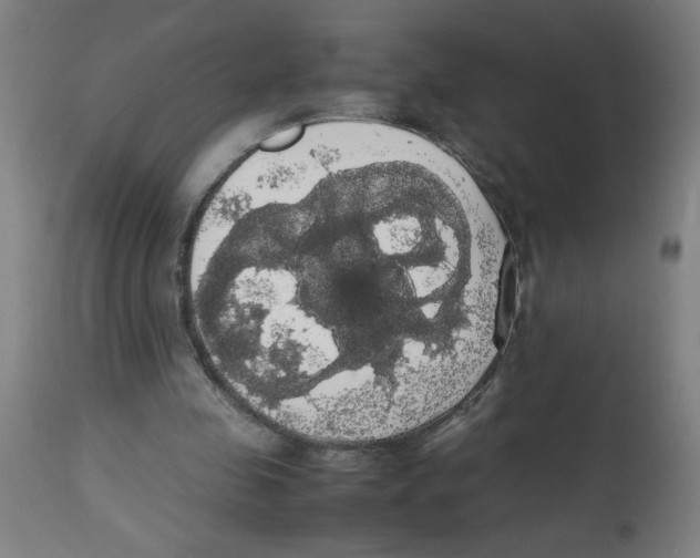 X0000113850341200910221424