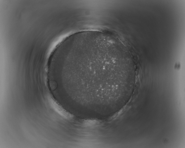 X0000113850342200910221424