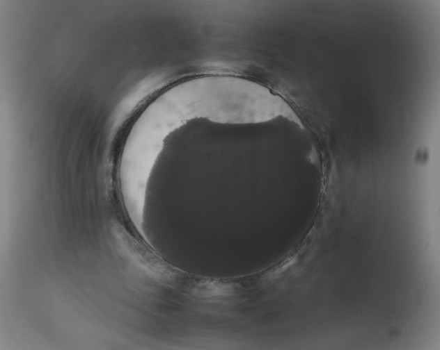 X0000113850343200910221424