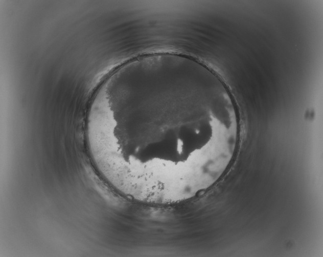 X0000113850345200910221424