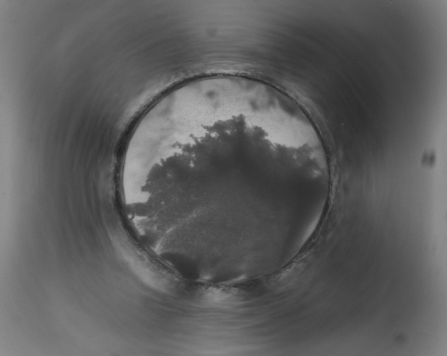 X0000113850346200910221424