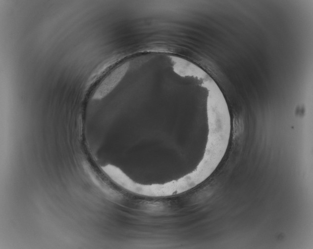 X0000113850349200910221424