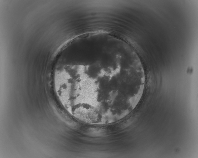 X0000113850351200910221424