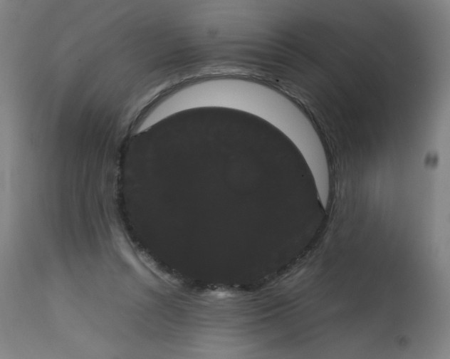 X0000113850352200910221424