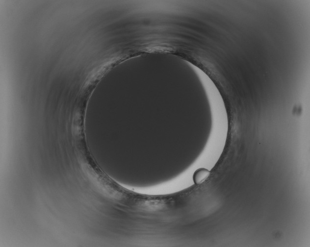 X0000113850353200910221424