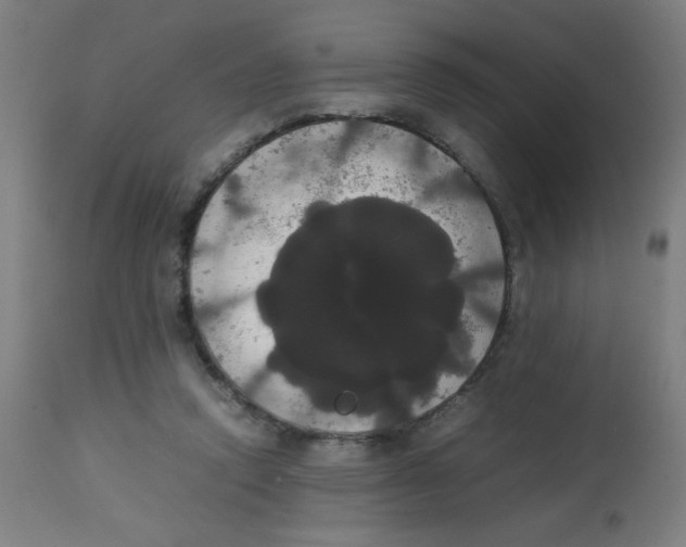 X0000113850354200910221424