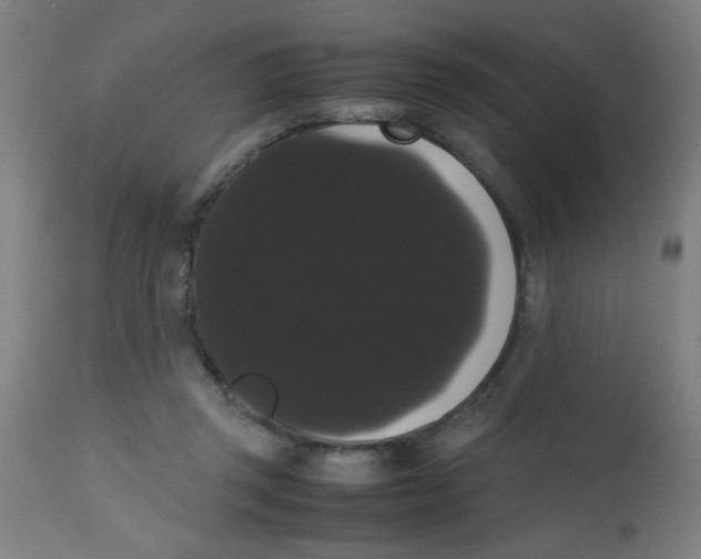 X0000113850357200910221424