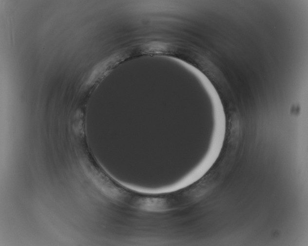 X0000113850361200910221424