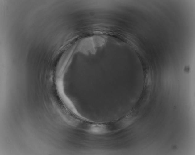 X0000113850363200910221424