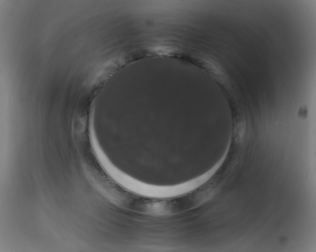 X0000113850365200910221424