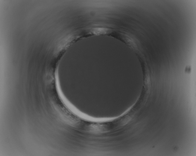 X0000113850367200910221424