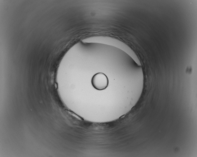 X0000113850368200910221424