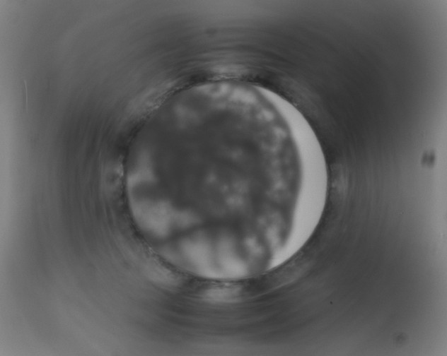 X0000113850369200910221424