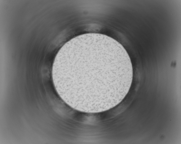 X0000113850370200910221424