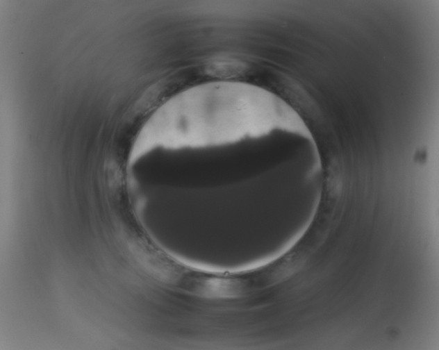 X0000113850371200910221424