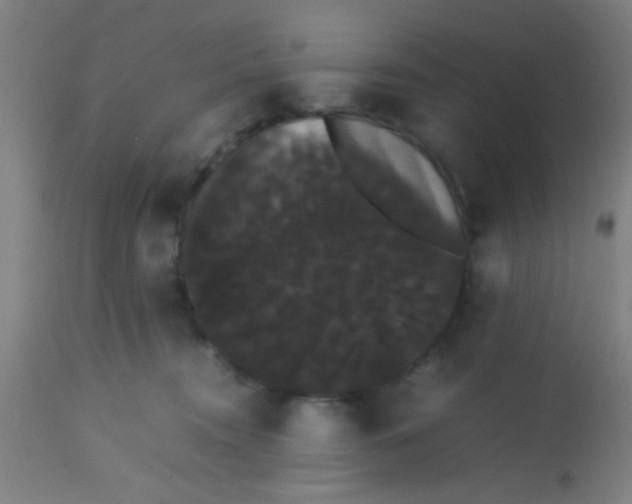 X0000113850372200910221424