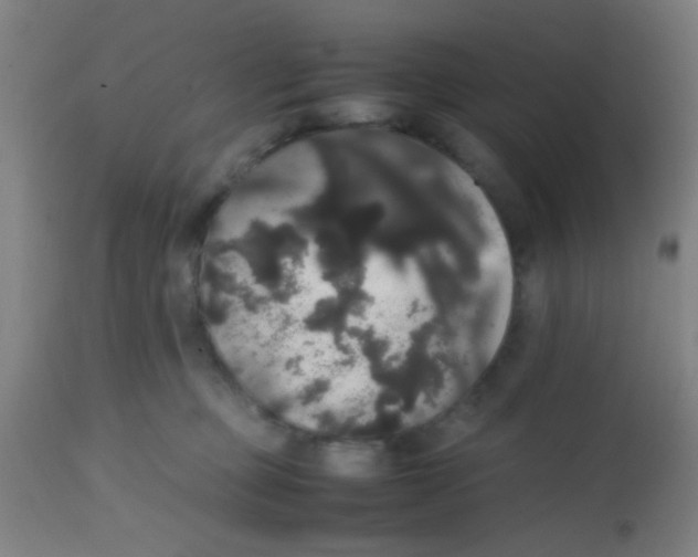 X0000113850373200910221424