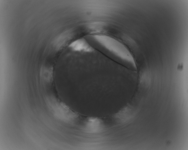 X0000113850376200910221424