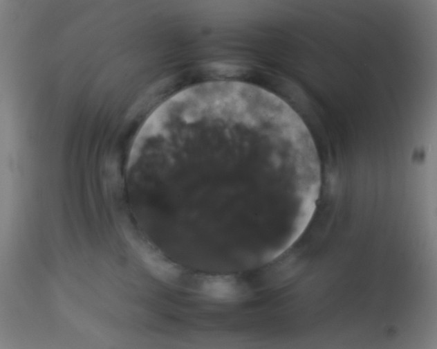 X0000113850377200910221424