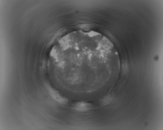 X0000113850379200910221424