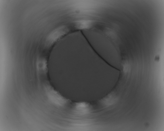 X0000113850380200910221424