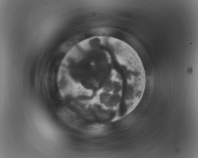 X0000113850381200910221424