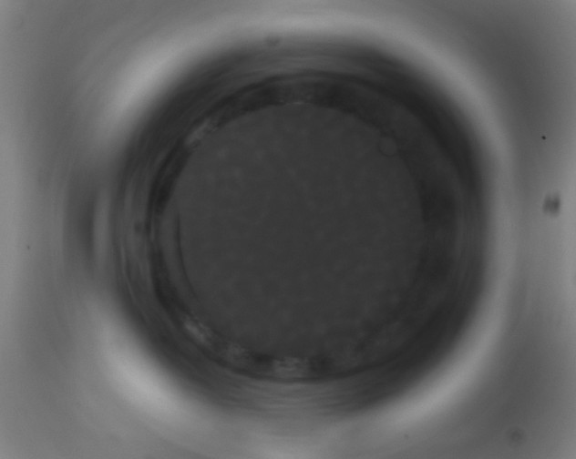 X0000113850382200910221424