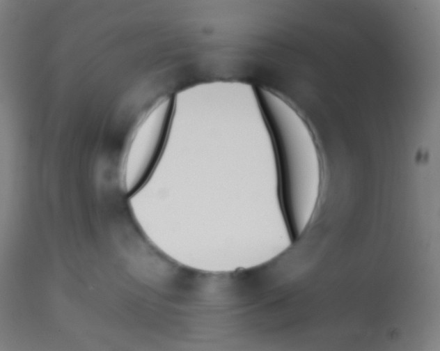 X0000113850384200910221424