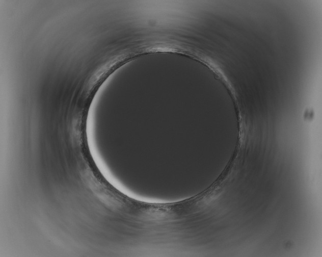 X0000113850386200910221424