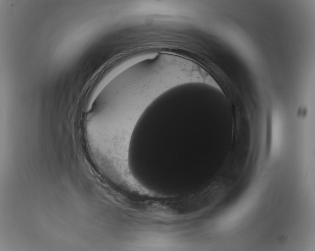 X0000113850387200910221424