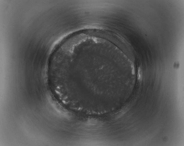 X0000113850388200910221424