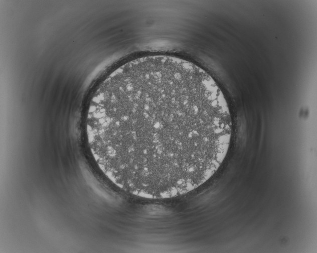 X0000113850392200910221424