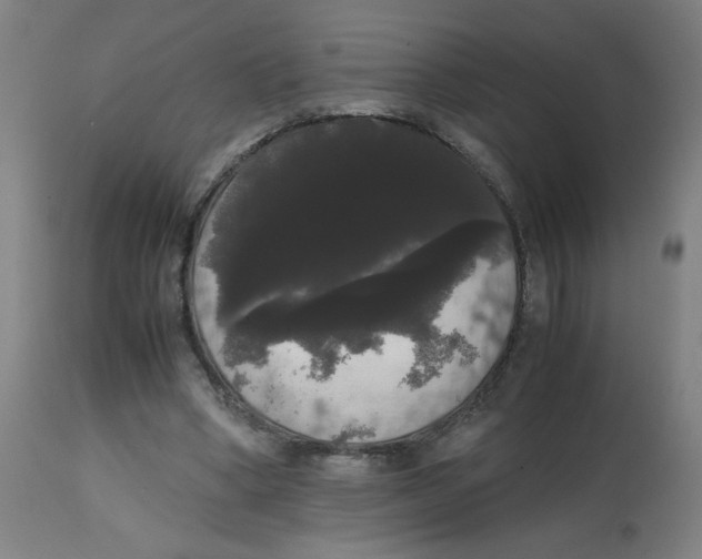 X0000113850394200910221424