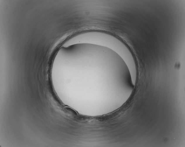 X0000113850395200910221424