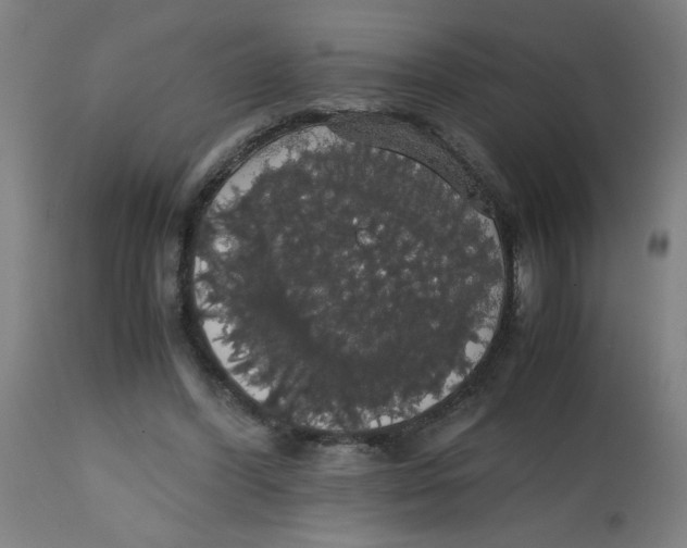 X0000113850396200910221424