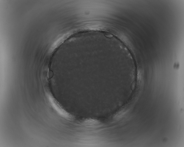 X0000113850397200910221424