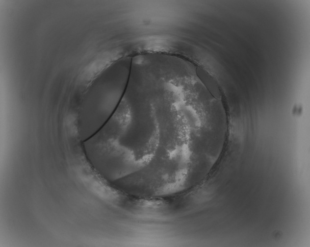 X0000113850401200910221423