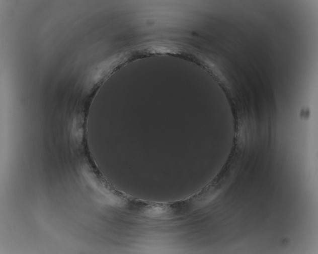 X0000113850402200910221423